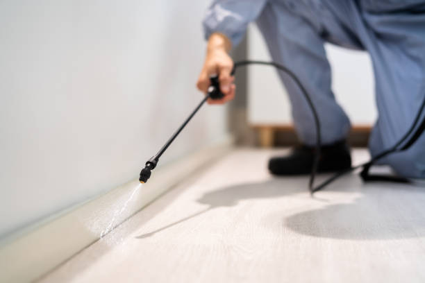 Bed Bug Pre-Treatment Preparation Assessment in Schnecksville