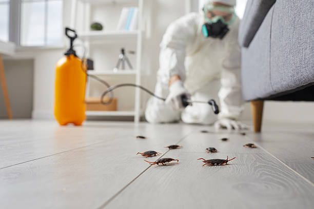 Post-Treatment Bed Bug Interceptor Monitoring in Schnecksville