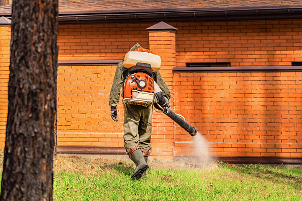 Bed Bug Clearance Verification and Documentation in Schnecksville